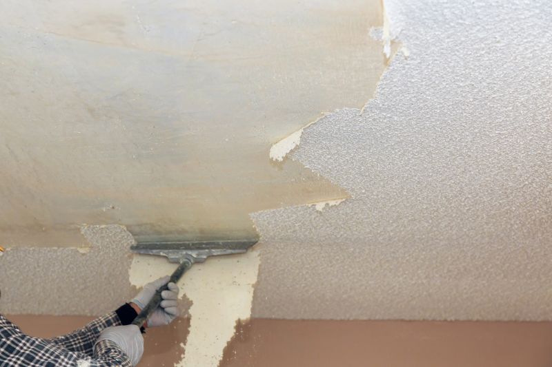 Popcorn Ceiling Smoothing - Popcorn Ceiling Smoothing Burnsville, Minnesota
